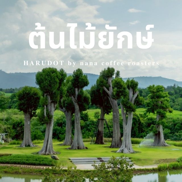 เที่ยวเขาใหญ่ ดูต้นไม้ยักษ์ อายุ 100+ ปี 