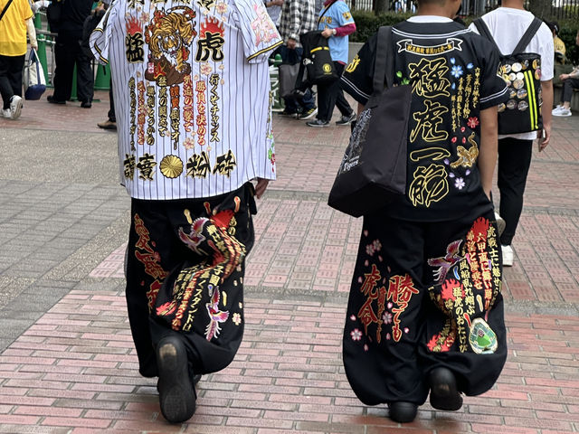 初踏甲子園：一場夢想與遺憾並存的棒球夜