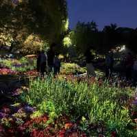 A Nighttime Wonderland: Haidian Park’s Magical Glow