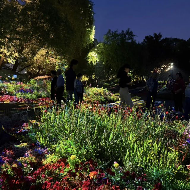 A Nighttime Wonderland: Haidian Park’s Magical Glow