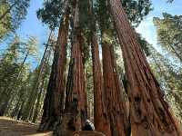 Deep into the Wilderness: Hiking Kings Canyon’s Trails