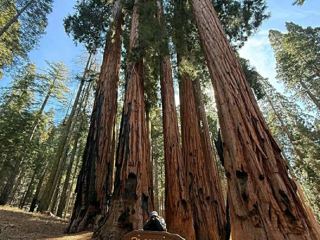 Deep into the Wilderness: Hiking Kings Canyon’s Trails