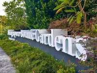 The Rainforest at Singapore Botanic Gardens – A Walk Through Ancient Nature
