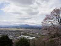 東京至東北攻略：船岡公園賞櫻