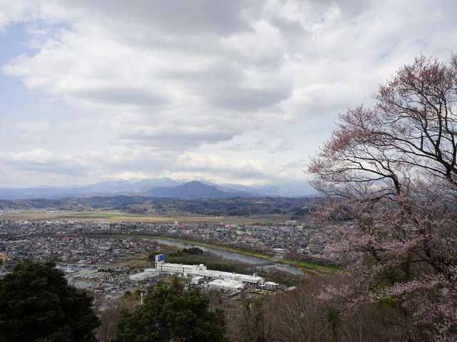 東京至東北攻略：船岡公園賞櫻
