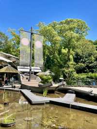 A Relaxing Day in Nagoya – Castles, Shrines & Strolling
