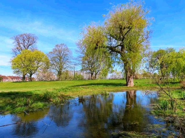Stone & Blossom: Spring at Caludon Castle Park