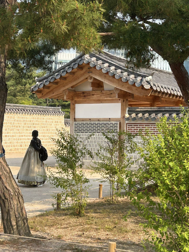 📸 고궁의 아름다움과 여유를 느낄 수 있는 산책 명소, 경복궁