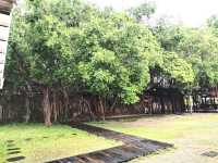 Anping Tree House