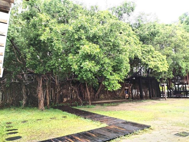 Anping Tree House