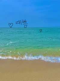 여름엔 시원하게 강원도 바다에서 힐링🌊🐳🐟
