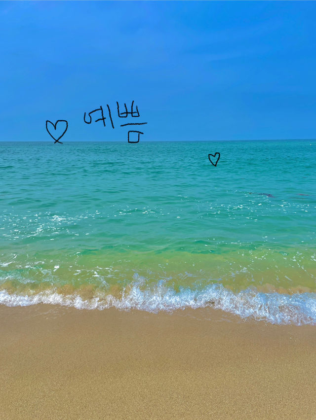여름엔 시원하게 강원도 바다에서 힐링🌊🐳🐟