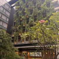 🏨💚 Kloe Hotel in Kuala Lumpur — hard not to love this place!