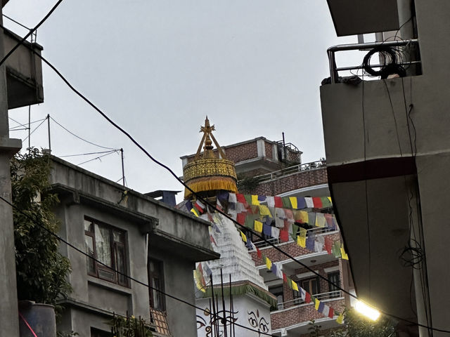 Lalitpur has best newari taste 