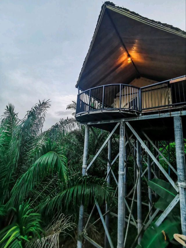 khaosok boutique camps สุราษฎร์ธานี