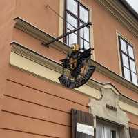 【錬金術】エルリック兄弟を彷彿とさせる博物館🇭🇺