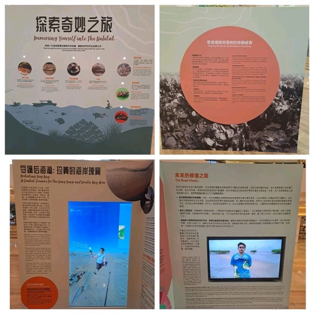 滄海遺礁展覽參觀的個人感受