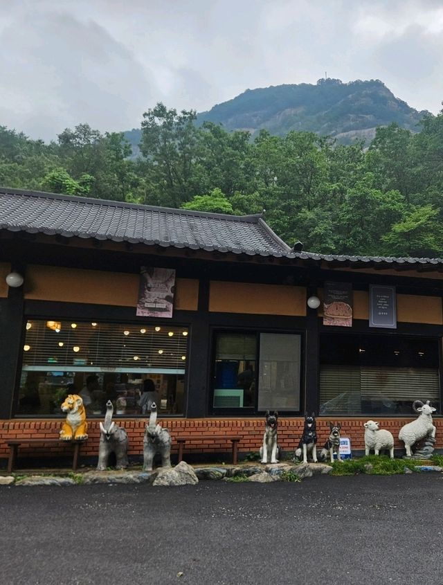 산정호수 우둠지 빵 카페 구경
