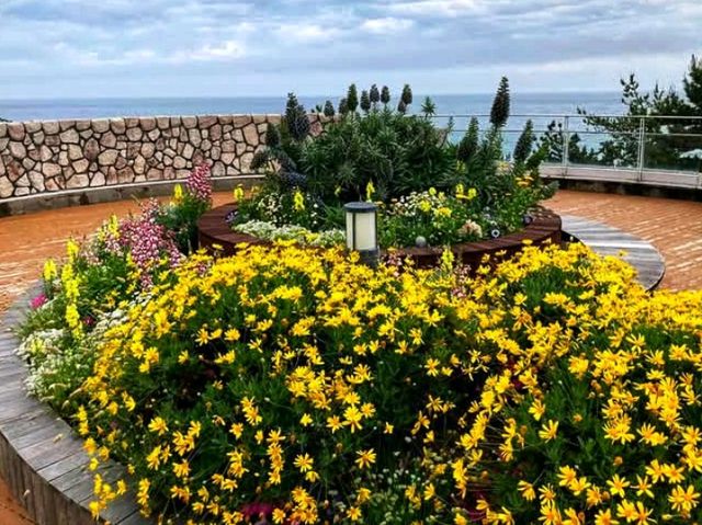 Awaji Hanasajiki Park: A Floral Wonderland Above the Sea
