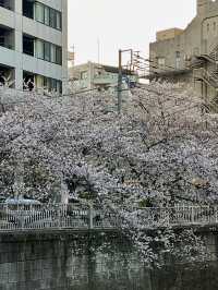 โอซาก้า🇯🇵