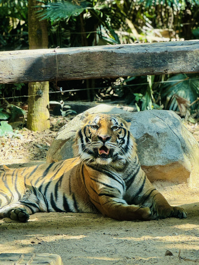 廣州長隆野生動物園