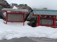 3月日本自由行 景点篇 鬼押出火山岩石公園