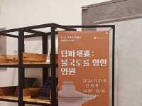 Step Back in Time at the Daejeon Prehistoric Museum
