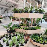 Sama Garden