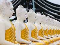 วัดป่าพรหมนิมิต