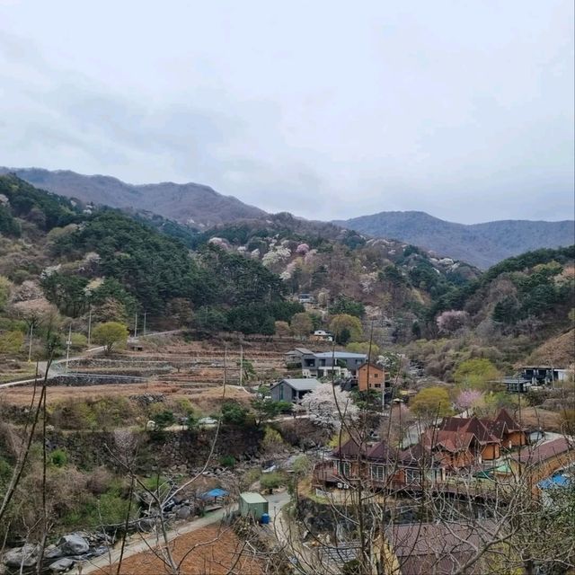 Exploring Baeksolyeong in Jirisan