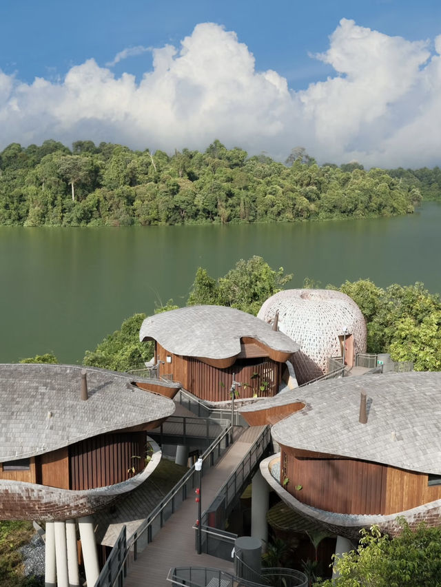 Mandai Rainforest Resort by Banyan Tree: A Retreat Where Trees Become Neighbors