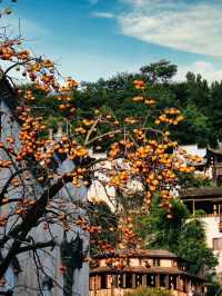 《漫步南昌山水間：一場穿越古今的旅行》