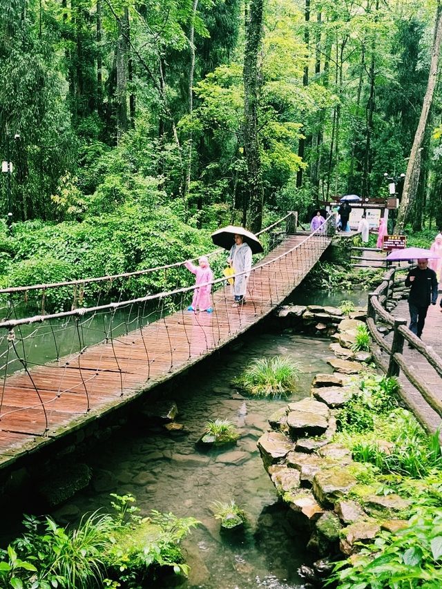 Walking Through the Water Stream at Zhangjiajie National Forest Park