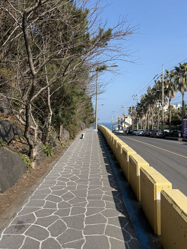 濟州島必去海岸線Dodu Rainbow Coastal Road