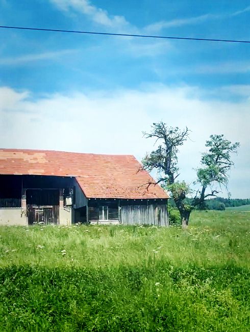 Swiss Summer by Train: From Zurich to Geneva 🚄🇨🇭☀️
