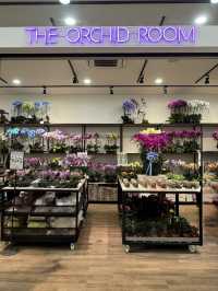 Bloom therapy 