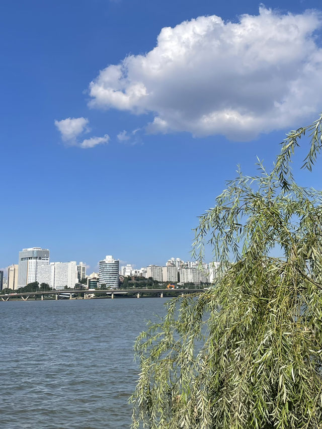 🌿 햇살 가득한 날, 한강공원에서 보내는 느긋한 오후 🚲