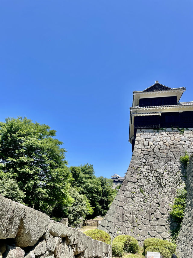 🏯 마쓰야마성 – 에히메현의 살아 있는 역사를 만나다