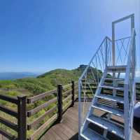 Azaleas, Views & Easy Trails in Jangheung
