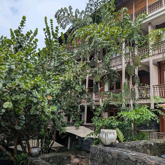 Datai Canopy Suite