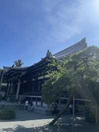 【神奈川県/鎌倉　紫陽花がキレイに咲いている穴場スポット】