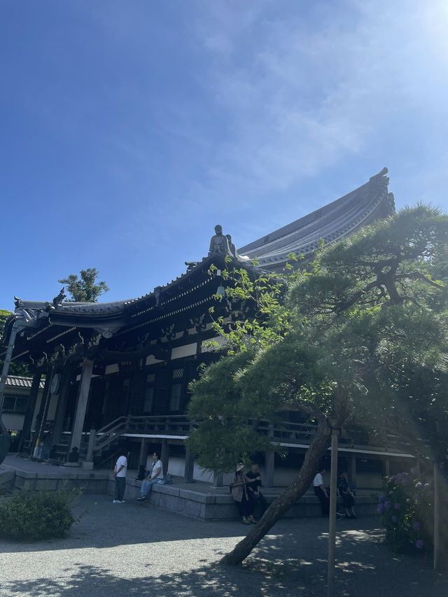 【神奈川県/鎌倉　紫陽花がキレイに咲いている穴場スポット】