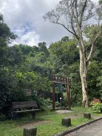 一起行山闖蕩去 龍門郊遊徑