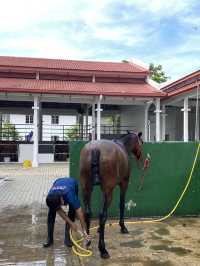 No Riding, Just Vibes: My Chill Day at Equestrian Park Putrajaya