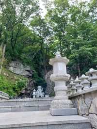 편백 숲길 따라 천년 고찰까지의 상쾌한 숲속 산책🌲