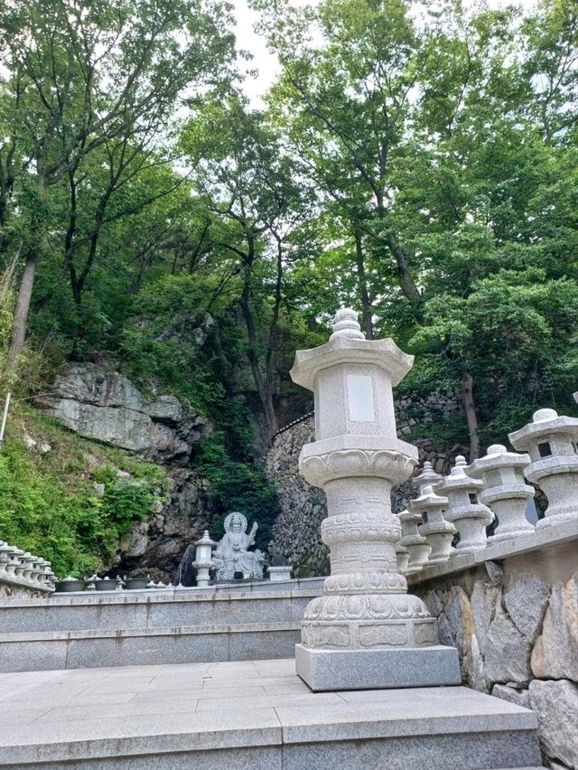 편백 숲길 따라 천년 고찰까지의 상쾌한 숲속 산책🌲