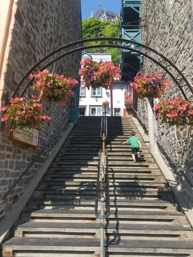 Cool summer vibes in Quebec City