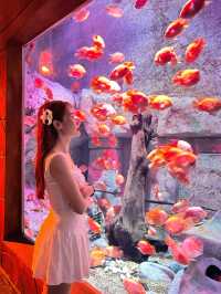 Vinwonders Phu Quoc