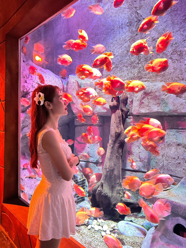 Vinwonders Phu Quoc