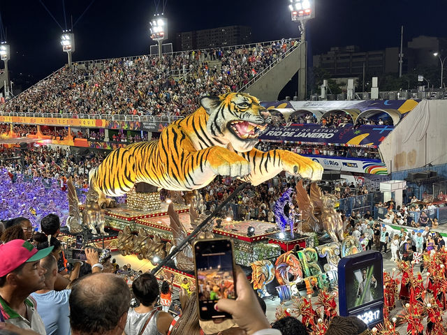 【Rio Carnival（リオのカーニバル）｜世界最大級の熱狂！音・光・色彩の祭典🎉】